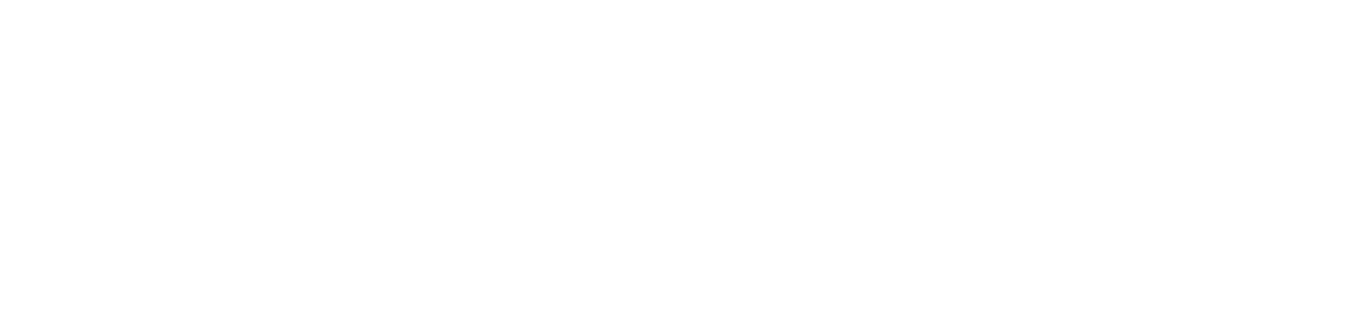 力鸿集团 LEON GROUP